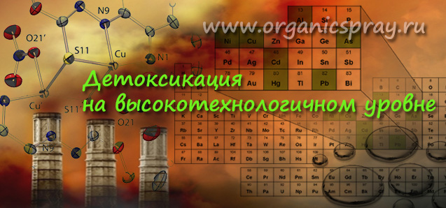 Детоксикация человеческого организма на высокотехнологичном уровне. Lavylites Solvyl